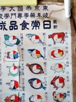 大判掛図　最新日常食品成分（附ビタミン）色別図表　赤木満洲雄編　半田屋医籍商店 明治頃
