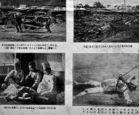 三陸東海岸大海嘯被害図（死体写真多）京橋区毛利泰二郎発行　明治9年
