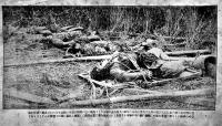 三陸東海岸大海嘯被害図（死体写真多）京橋区毛利泰二郎発行　明治9年
