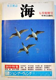 文芸雑誌「海」特集ジョン・アーヴィング　中央公論社　1982年