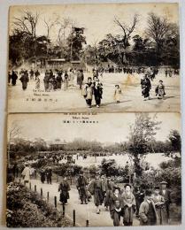 東京名所絵葉書　上野公園/日比谷公園つつじ　白黒写真版2枚　戦前