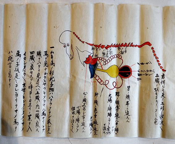 小笠原流兵法武術関係巻子絵入写本13点一括 各彩色図多 文化3〜8