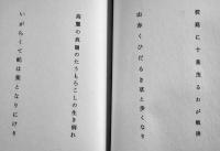 第二句集　花表　桑原三郎　初版箱カバ　俳句研究社　昭和57年　