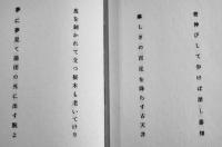 第二句集　花表　桑原三郎　初版箱カバ　俳句研究社　昭和57年　