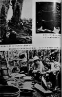 美女とネズミと神々の島-かくれていた日本　秋吉茂著　初版ビニカバ帯B6判　河出書房　昭和39年