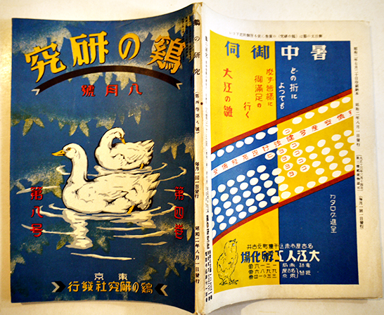 直観 アルベール・カミュ/高畠正明訳 初版カバ帯並本 新潮社