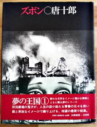 ズボン　唐十郎　装画・合田佐和子　初版カバ帯並上本　大和書房　1973年