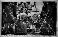 絵葉書　東京洪水被害　モノクロ写真版5枚　明治43〜44年