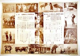 カール・ハーゲンベック大サーカス大判プログラム　主催・万国婦人子供博覧会　昭和初期