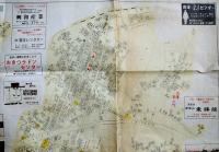 静岡県清水市興津地区住宅明細図　個別住居表示・広告入 昭和4〜50年頃？