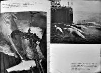 南氷洋捕鯨グラフ（小判写真集）日本水産　昭和30年代　