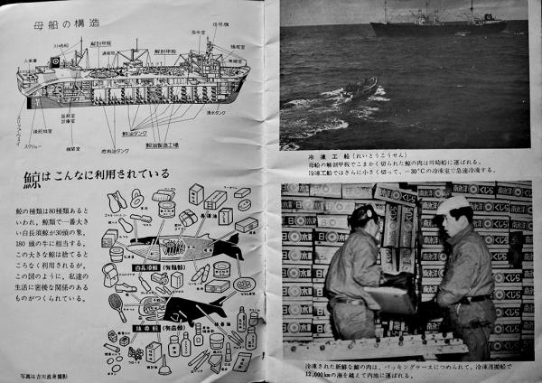 南氷洋捕鯨グラフ(小判写真集)日本水産 昭和30年代 / 古書 古 南氷洋捕鯨グラフ(小判写真集)日本水産 昭和30年代 / 古書 古