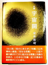 句集　宇宙開　安井浩司　A5判初版カバ帯極美本　沖積舎　平成26年