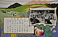 絵葉書　(朝鮮)慶尚北道の産業　カラーイラスト+写真3枚袋付　全国特産品陳列大会/大邸協賛会　戦前