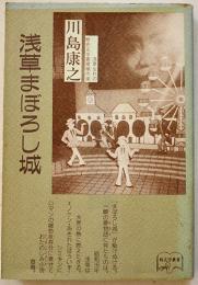 浅草まぼろし城　川島康之著　初版カバB6判並上本　鶴書院　1991年