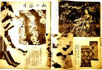 「新装」第3巻9号　岩田専太郎/岡本綺堂/木村荘八/他　松坂屋　昭和12年