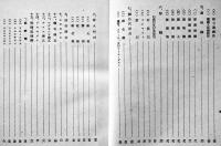 鐵・鋼・鋼材　児玉普匡著　A5判箱　並本　ダイヤモンド社　昭和17年