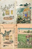 写本　山蠶養法 完　手彩色肉筆画入　私家版　愛媛県佐伯義門編　明治6年