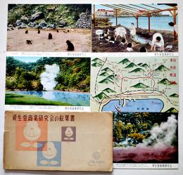 資生堂商業研究会の絵葉書　カラー写真5枚組袋付　1956年