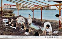 資生堂商業研究会の絵葉書　カラー写真5枚組袋付　1956年