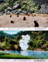 資生堂商業研究会の絵葉書　カラー写真5枚組袋付　1956年