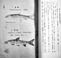 中支ニ於ケル養魚法　長野県水産試験場長鴨脚七郎稿　帝国水産会　昭和17年