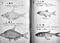 中支ニ於ケル養魚法　長野県水産試験場長鴨脚七郎稿　帝国水産会　昭和17年
