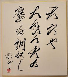 加藤郁乎自筆色紙「天文や大食の天の鷹を馴らし　」紙本墨筆署名落款入