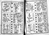 家庭寳鑑実験薬草　田口哲太郎　日本薬草普及会　昭和16年