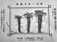 多木肥料乃精華　尊農社　明治40年