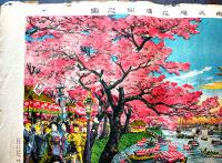 東京名所（大判）向嶋櫻花満開之図　彩色砂目石版画　浦島堂　大正11年