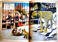 たのしい動物園　田中良/梁川剛一/椛島勝一/他絵　初版　講談社の絵本　昭和28年