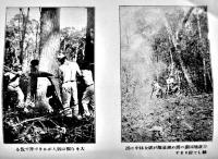 南米ブラジルアリアンサ移住地要覧　非売　長野県庁内信濃海外移住組合　昭和4年