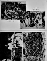満洲農業移民絵葉書　モノクロ写真版8枚組袋付　並上品　満洲移住協会　戦前