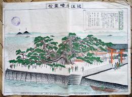 近江唐崎霊松-唐崎神社霊松縁起　55×39㎝  多色印刷　滋賀県士族樹下成彬発行　大正7年