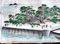 近江唐崎霊松-唐崎神社霊松縁起　55×39㎝  多色印刷　滋賀県士族樹下成彬発行　大正7年