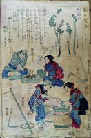 衣喰住之内家職幼絵解之図「蕨の製法」「茶植附図」「杦の苗仕立方」「杉の生育方」彩色木版画4枚　曜齋国輝(二代歌川国輝)文部省発行　明治初期刷り　