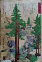 衣喰住之内家職幼絵解之図「蕨の製法」「茶植附図」「杦の苗仕立方」「杉の生育方」彩色木版画4枚　曜齋国輝(二代歌川国輝)文部省発行　明治初期刷り　