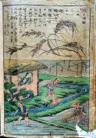 衣喰住之内家職幼絵解之図 「稲の種類」「田植」「脱穀」「米蔵」彩色木版画4枚　曜齋国輝(二代歌川国輝)　文部省発行　明治初期刷り