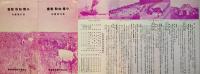 小樽知取敷香急行便案内リーフレット　51×19㎝両面印刷並上品　北日本汽船株式会社　昭和13年