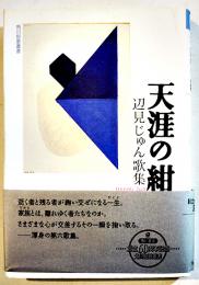歌集天涯の紺　辺見じゅん　初版カバ帯B6判美本　角川書店　平成22年