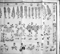 草木撰種録　46.5×35.5㎝木版一枚摺袋付美品　伏見谷木氏施印　安政2年