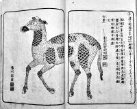 南畝莠言　上下揃い　杏花園(大田南畝)著　雷州絵入本　江戸末刊