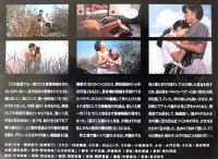 DVD　遊び　監督・増村保造/原作・野坂昭如/主演・関根恵子　大映(株)