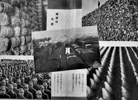 決戦輸送　A5判57p並本　非売　鉄道省　昭和18年
