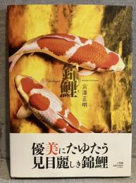 錦鯉
