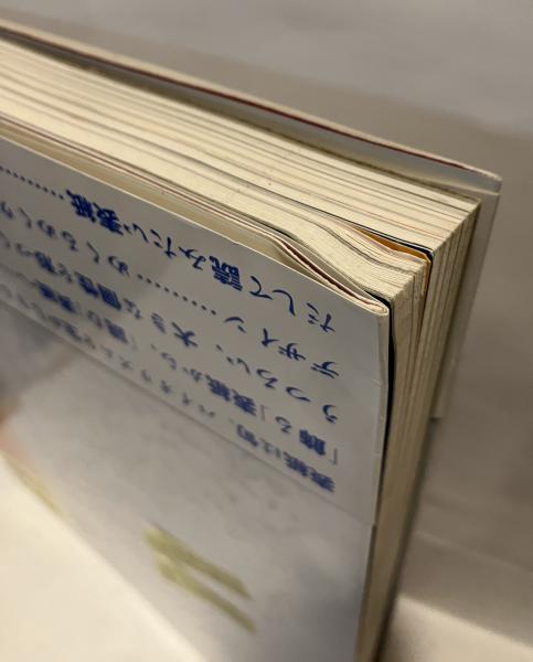 疾風迅雷 : 杉浦康平雑誌デザインの半世紀(杉浦康平 著 ; 臼田捷治 