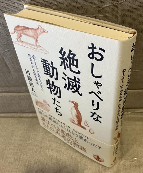 真言密教の霊魂観(佐伯泉澄 著) / 古書 音羽館 / 古本、中古本