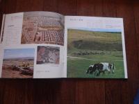 北海道 企画編集知事室道民課 1971年発行　全36頁