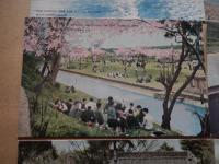 昭和30年代　羽村の堰　絵葉書6点タトウ付

羽村取水堰は、多摩川の河口から上流約54㎞に位置し、川をせき止める投渡堰、固定堰、魚類が行き来する魚道及びせき止めた水を取り入れる第一水門から構成。羽村取水堰は玉川上水と同時に建設され、承応２（1653）年に完成。玉川上水は、江戸の人口が増えたため幕府が多摩川の水を江戸に引く計画を立て、当初は国立の青柳付近、次いで福生の熊川付近に取水口を設けましたが失敗し、現在の羽村地点となった。堰は、明治33（1900）年、大正13（1924）年の増改築を経て現在に至る。堰の構造上、通常時は全量取水して小吐水門から毎秒２立方メートルを放流しているが、台風などの洪水時は、投渡堰を取り払うことで河川水位の上昇を抑え、堰の安全性を確保している。投渡堰は非常に珍しい型式で、川に直角に鉄のけたを渡し、これに杉丸太をたてかけ、横に差込丸太を設置し、そだ（木の枝を束ねたもの）、砂利等を用いて堰を作ります。台風等の大雨により多摩川の水位が上がり、一定の水位を超えるとけたを外して堰自体を下流に流します。これを投渡木払いといいます。その後、水位が下がると堰を再構築、この作業を仕付けといい、昔からの技術が途切れることなく現在まで伝わっている。取水した原水は、村山・山口貯水池や小作浄水場へ導水しているほか、玉川上水路を経て、東村山浄水場にも導水してる。